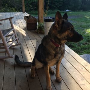 Meet your Posher, Chad